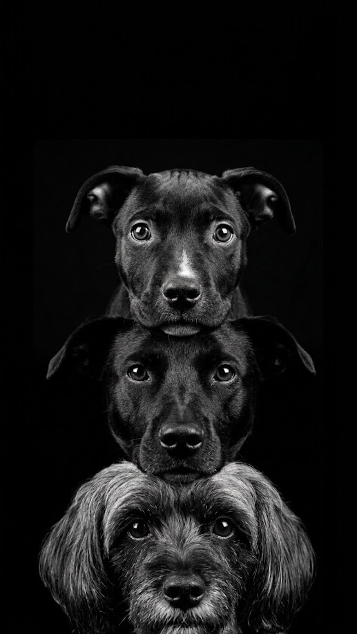 Retratos P&B de Rakim, Hanna e Kira